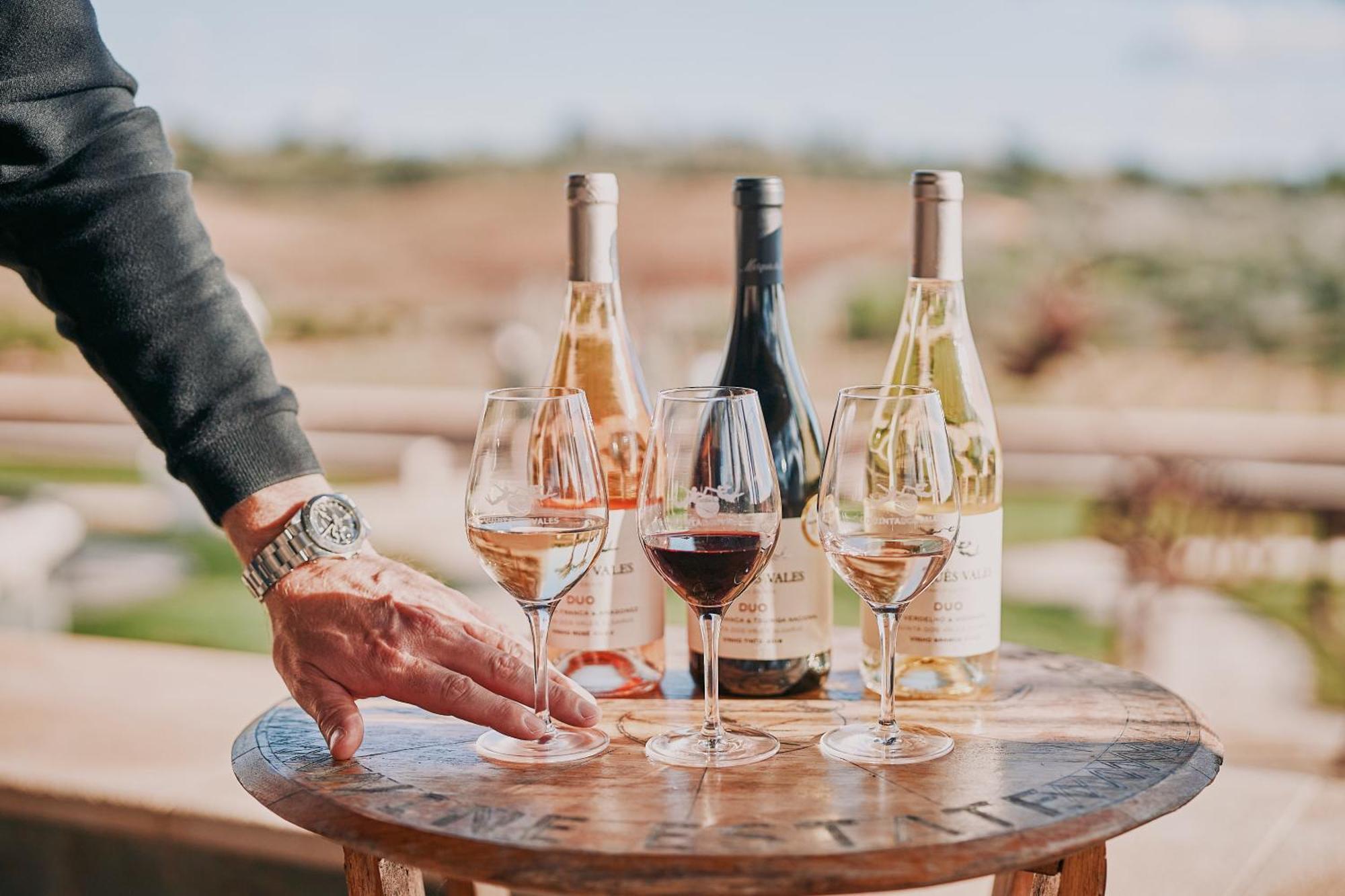 에스톰바 Quinta Dos Vales Wine Estate 게스트하우스 외부 사진