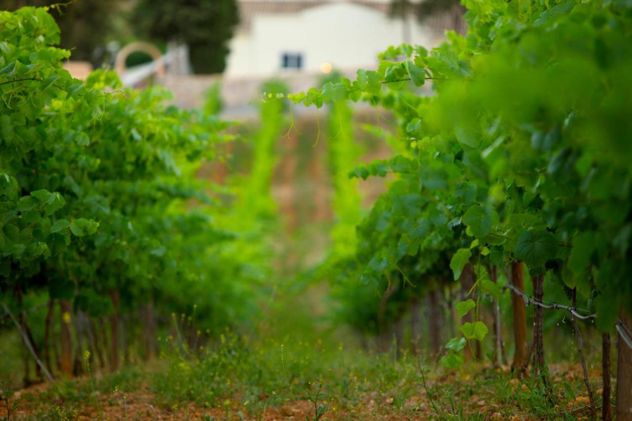 에스톰바 Quinta Dos Vales Wine Estate 게스트하우스 외부 사진